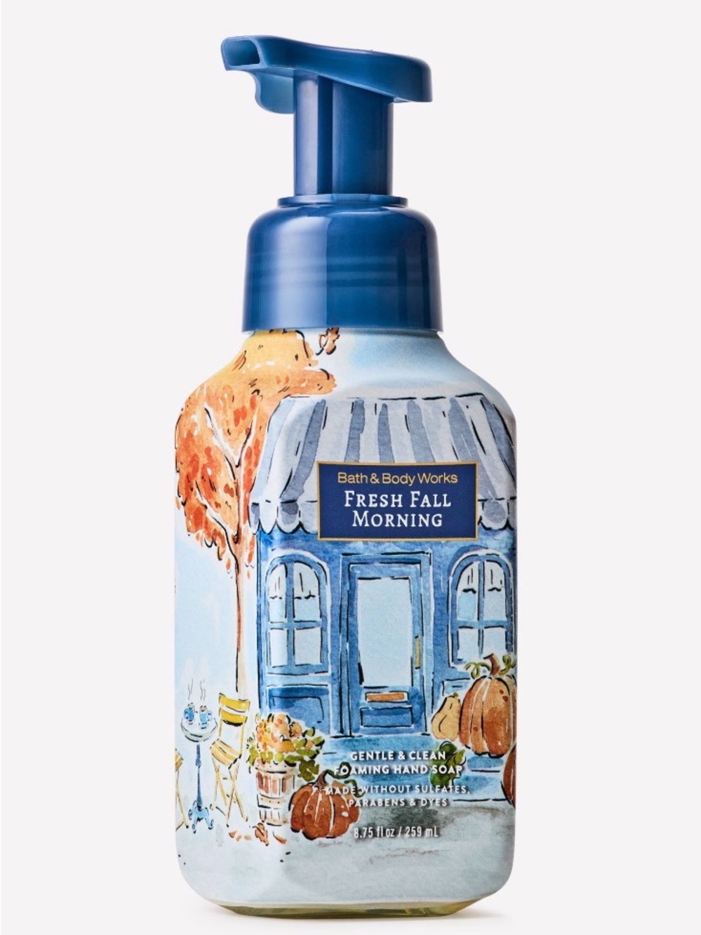 Bath & Body Works Fresh Fall Morning Foaming Hand Soap - Blue, Orange